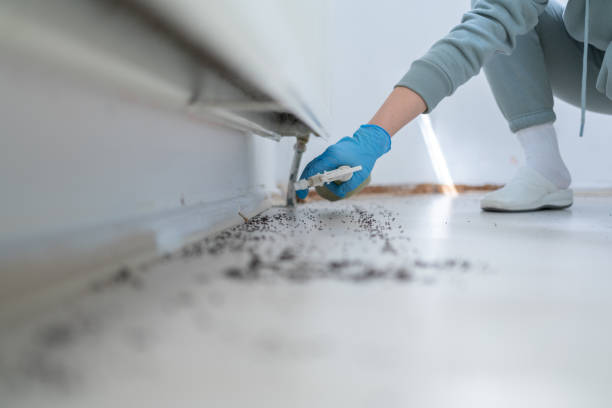 Best Pest Prevention Services  in Deschutes River Woods, OR